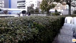 91肉感肥臀一区二区,成人视频高清免费观看